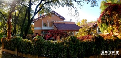 【秋至】+多彩的季節(jié)