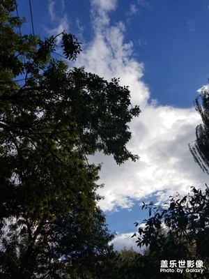 【秋至】大風(fēng)過后