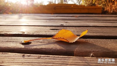 【秋至】+詩意秋天