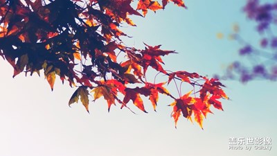 不一樣的調(diào)調(diào)不一樣的感覺(jué)