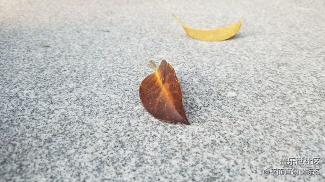 Note8的相機成像銳度很高嗎？