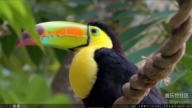 淘到一款便宜好用、兼容Dex的擴展塢