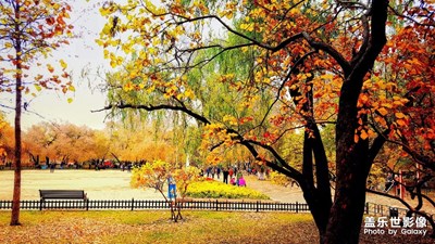 赤橙黃綠藍(lán)靛紫