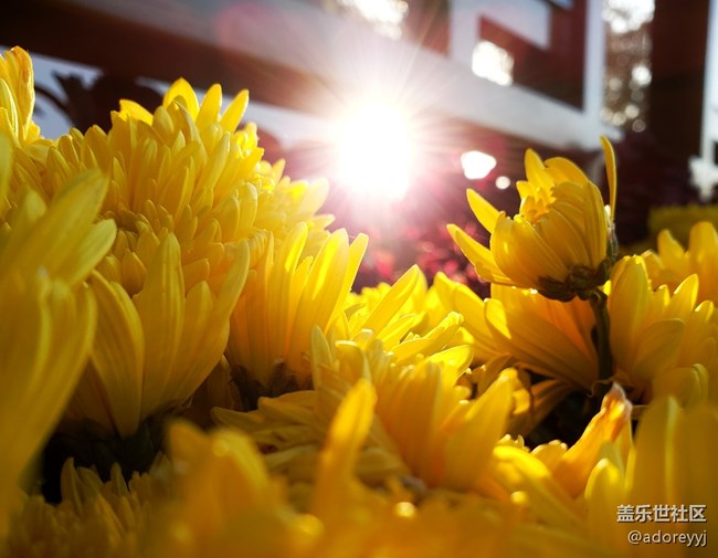 新上note9，遇到個詭異的問題