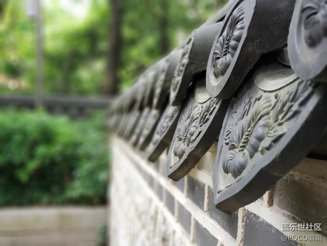 Galaxy Note9：回歸自然，拍出精彩