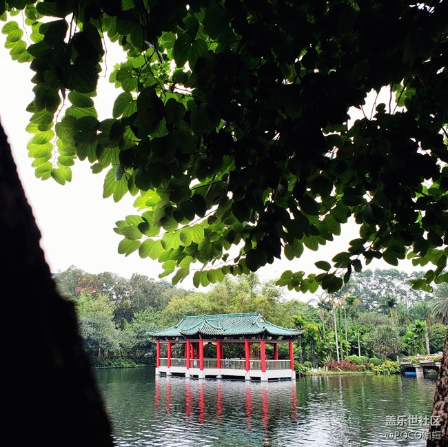 Galaxy Note9：回歸自然，拍出精彩