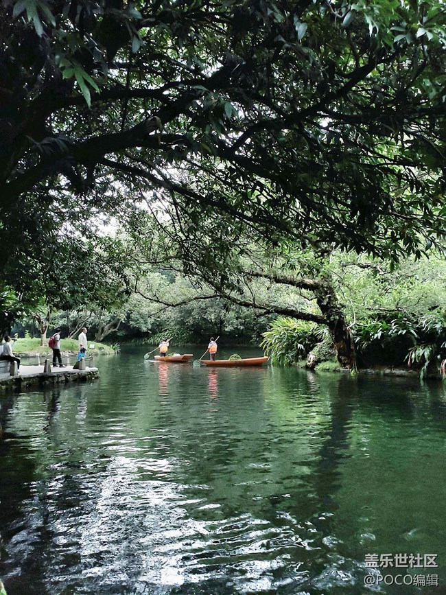 Galaxy Note9：回歸自然，拍出精彩