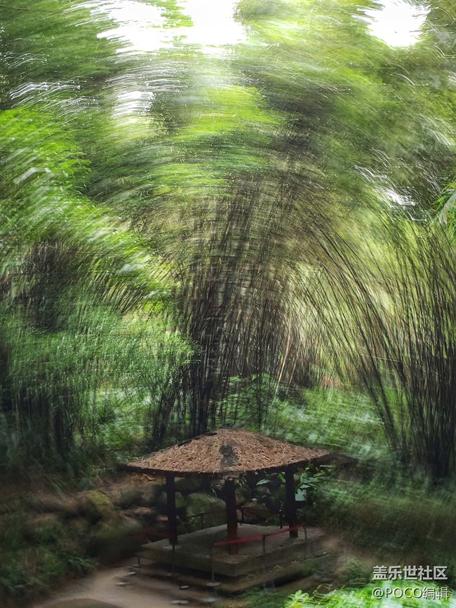 Galaxy Note9：回歸自然，拍出精彩