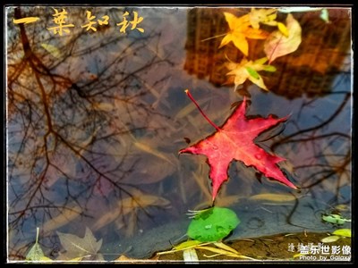 七彩斑斕的時候