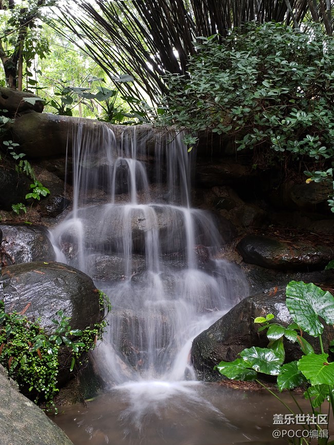 Galaxy Note9：回歸自然，拍出精彩