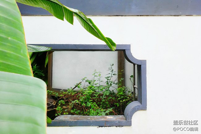 Galaxy Note9：回歸自然，拍出精彩