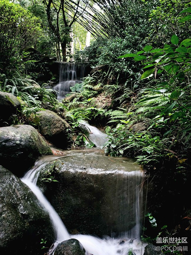 Galaxy Note9：回歸自然，拍出精彩