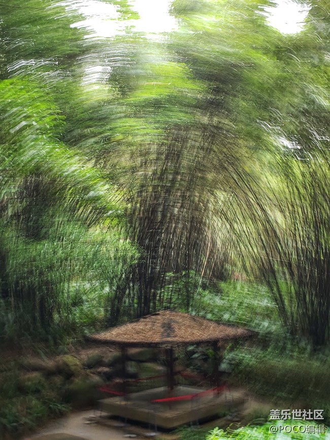 Galaxy Note9：回歸自然，拍出精彩