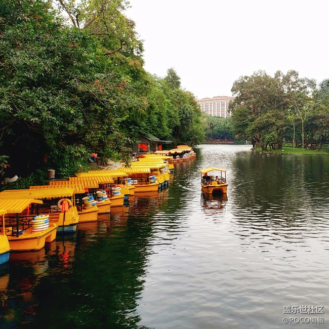 Galaxy Note9：回歸自然，拍出精彩