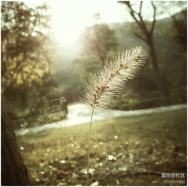 新上note9，遇到個詭異的問題