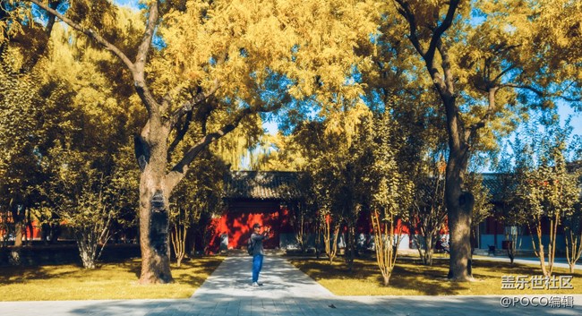 5大技巧，讓手機(jī)攝影更簡(jiǎn)單——Galaxy Note9色彩之旅