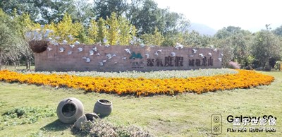 隨手拍：宜興馬拉松拍照