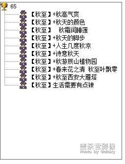 65期攝影周賽開獎開獎啦