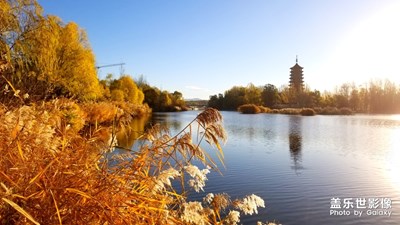 自古逢秋悲寂寥，我言秋日勝春朝！