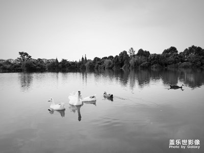 湖