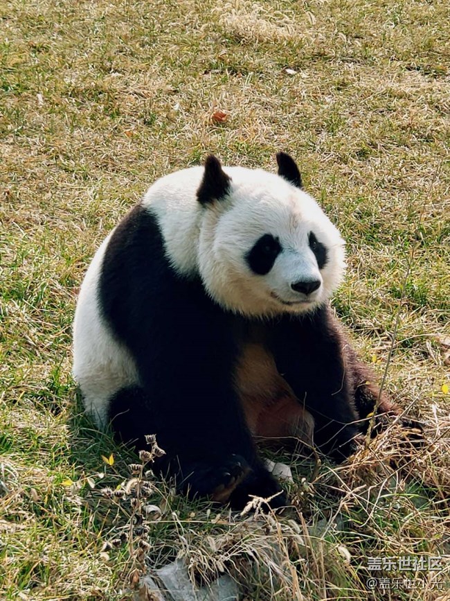 秋游之沈陽森林動(dòng)物園——三星在手，天下我有