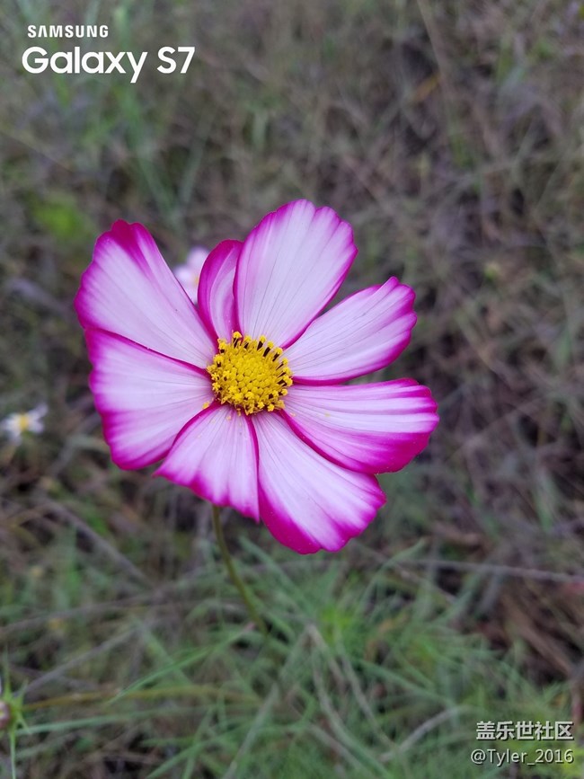過氣旗艦..隨拍