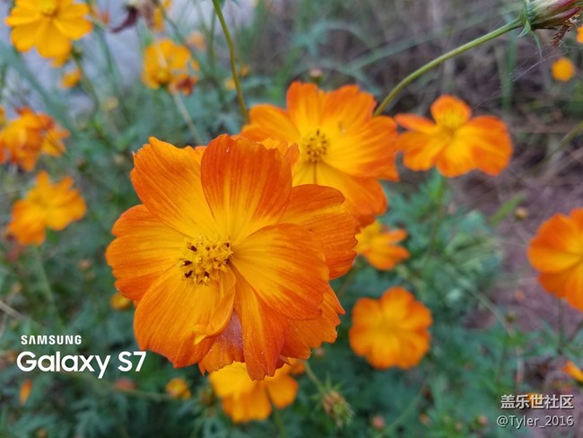 過氣旗艦..隨拍