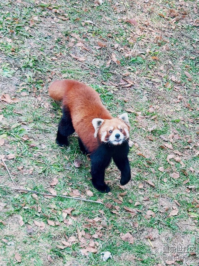 秋游之沈陽森林動(dòng)物園——三星在手，天下我有