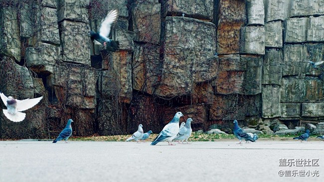 秋游之沈陽森林動(dòng)物園——三星在手，天下我有