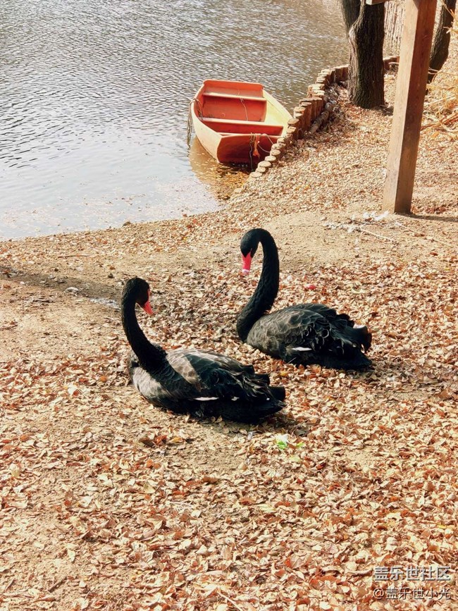 秋游之沈陽森林動(dòng)物園——三星在手，天下我有