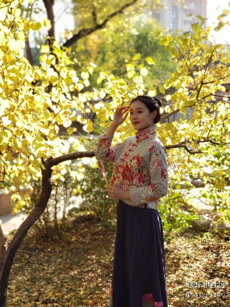 【沈陽(yáng)金秋】＋金色美景人像