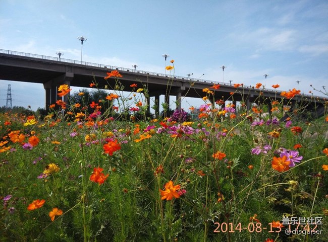 關(guān)于三星 相機(jī)APP 時(shí)間水印改進(jìn)意見 關(guān)于三星 相機(jī)APP 時(shí)間水印改進(jìn)意見