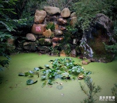 石與池