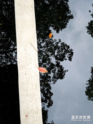 【我的日常生活】+平凡而不簡單