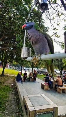 【我的日常生活】+老有所樂