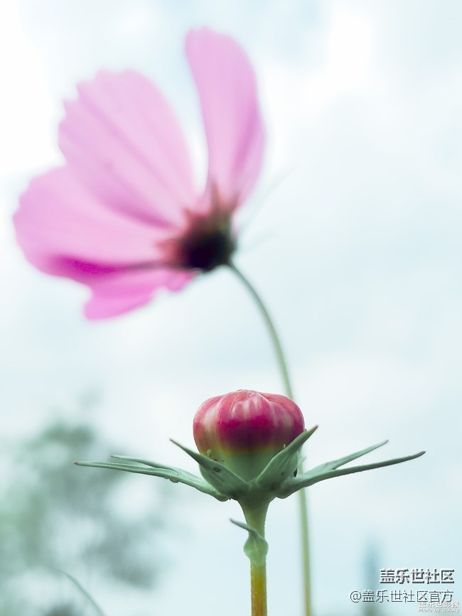 【121期：Galaxy A6s正式開售 A9s火熱預(yù)定中】