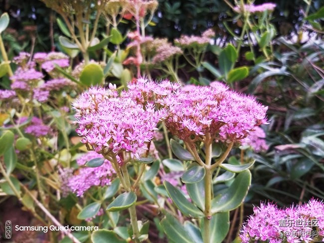 三星Galaxy A9s四個(gè)攝像頭都能做什么呢？