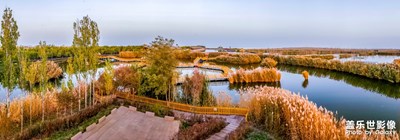 【為中國(guó)添色】《壯美的西域大漠風(fēng)光》 （大眾組）