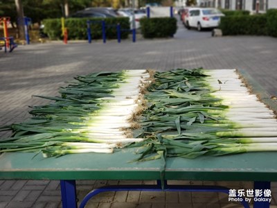 現(xiàn)在流行曬蔥??