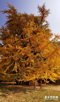 【我的日常生活】+ 平平淡淡