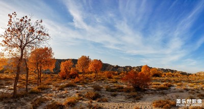 【為中國(guó)添色】《秋天里的童話》 （大眾組）