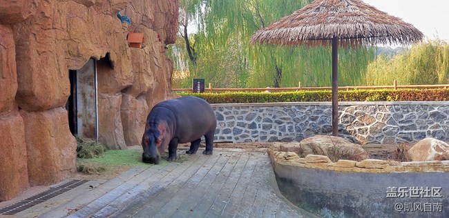 一篇有內容的動物園回顧貼 一篇有內容的動物園回顧貼