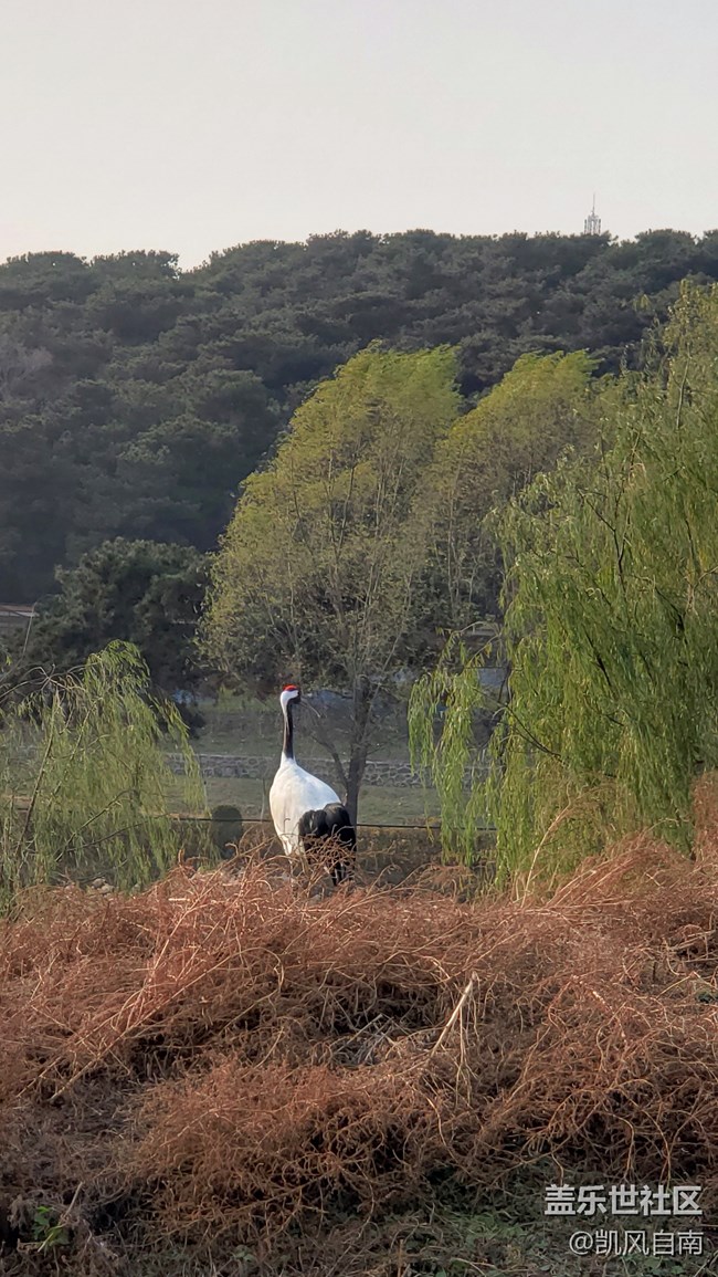 一篇有內容的動物園回顧貼 一篇有內容的動物園回顧貼