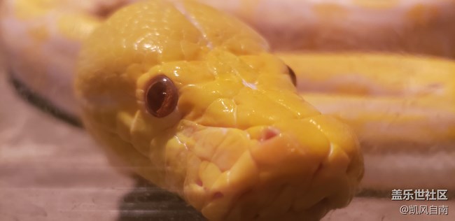 一篇有內容的動物園回顧貼 一篇有內容的動物園回顧貼