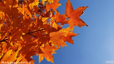 【為中國(guó)添色】詩(shī)畫(huà)城山與運(yùn)河夜色 （大眾組）