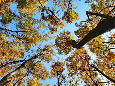 【為中國添色】帶著NOTE9游西安(四) (大眾組)