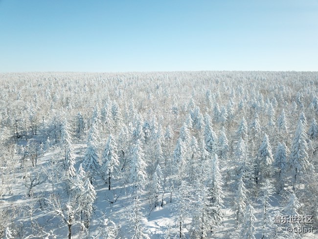 【活動招募】哈爾濱星部落年終聚會 齊聚雪鄉(xiāng) 共暢未來