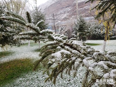 初雪