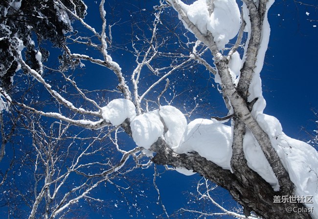 【活動招募】哈爾濱星部落年終聚會 齊聚雪鄉(xiāng) 共暢未來