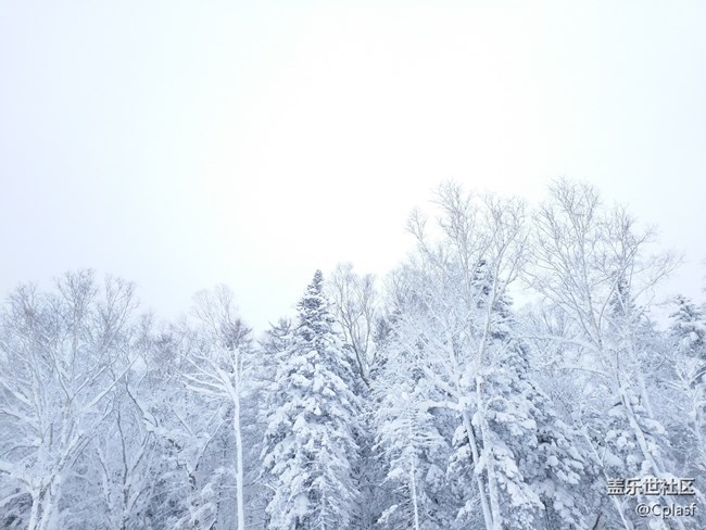 【活動招募】哈爾濱星部落年終聚會 齊聚雪鄉(xiāng) 共暢未來